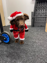 Load image into Gallery viewer, Festive Fudge Dog Air Freshener – Christmas Edition | CEUK