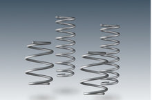 Load image into Gallery viewer, AC Schnitzer Performance Lowering Springs for BMW X1 (F48) SDrive - 20-25mm Front & Rear Drop, Adaptive & Non-Adaptive Compatible