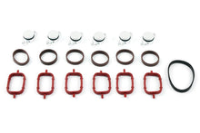 Load image into Gallery viewer, Swirl Flap Delete Kit for BMW 6 Cylinder M57N / M57N2 Engines

