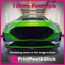 Load image into Gallery viewer, Pinstripe - 10mm x 10m roll
