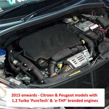 Load image into Gallery viewer, Ramair - Performance Induction Kit for Citroen C3/C4/Ds3/Ds4 &amp; Peugeot 208/308/2008/3008/5008 1.2THP
