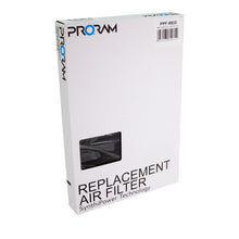 Load image into Gallery viewer, RamAir Performance Air Filter - BMW E46 / E39 / E36 / E85 Models
