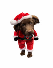 Load image into Gallery viewer, Festive Fudge Dog Air Freshener – Christmas Edition | CEUK
