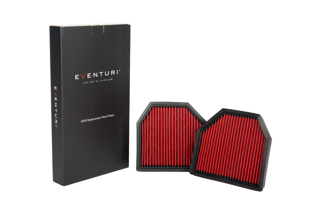 Eventuri BMW F12 F13 M6 Air Scoop & Panel Filter
