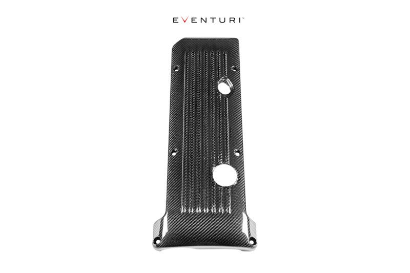 Eventuri BMW E46 M3 Carbon Fibre Engine Cover