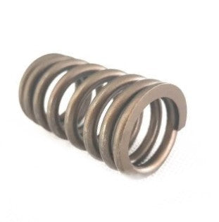 Genuine BMW E81 E90 F01 F30 11347523971 Valve Spring (Inc. 130i, 335i, 535ix & 740i)