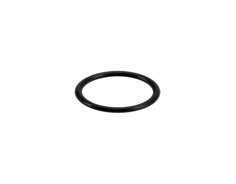 Genuine BMW F20 F30 G20 G30 Oil Line O-Ring (Inc. 120i, 320i, 330i & 530i)