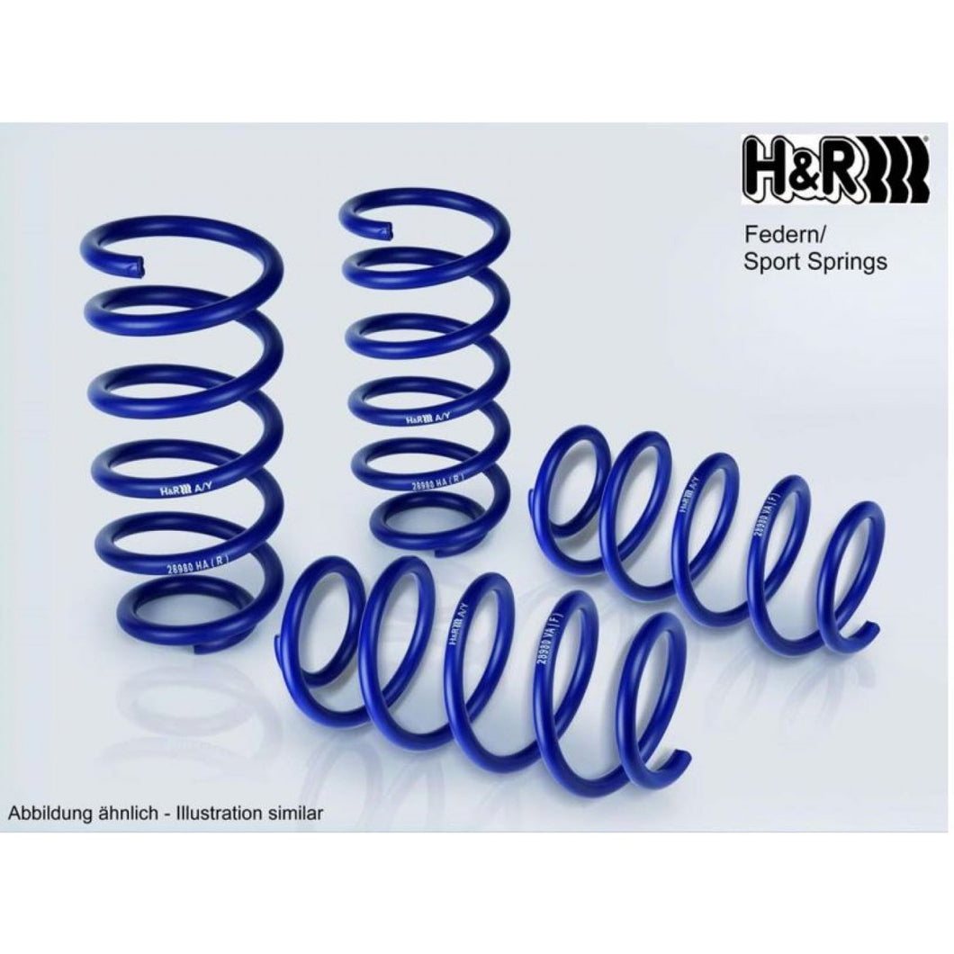 H&R BMW E70 E71 E72 Lowering Springs (Inc. X5 35i, X5 M50dx, X6 35ix, X6 M)